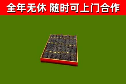 安康市回收海参